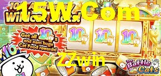 ZZwin